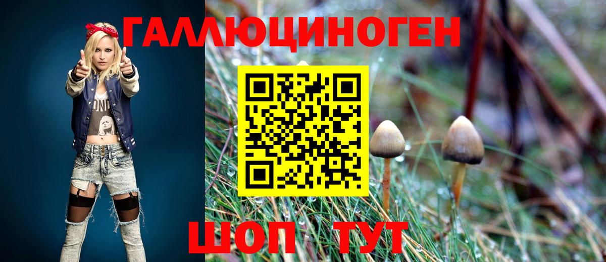 Можайск  Псилоцибиновые грибы мухоморы  Вход с VPN  Псилоцибиновые грибы Magic Shrooms 